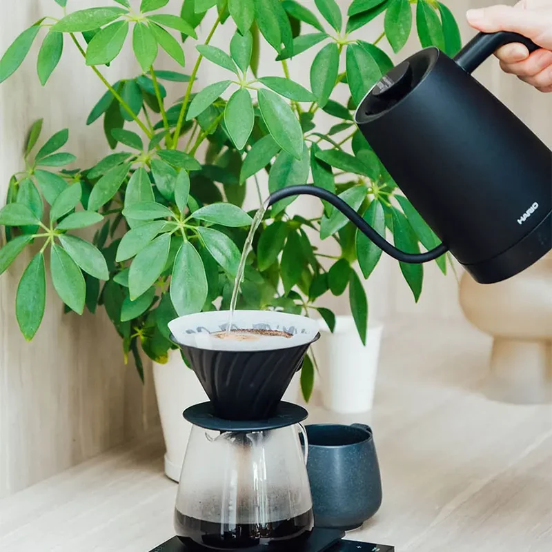 Hario Lyra Wasserkocher 800 ml Schwarz – Schwanenhals mit Temperaturregelung