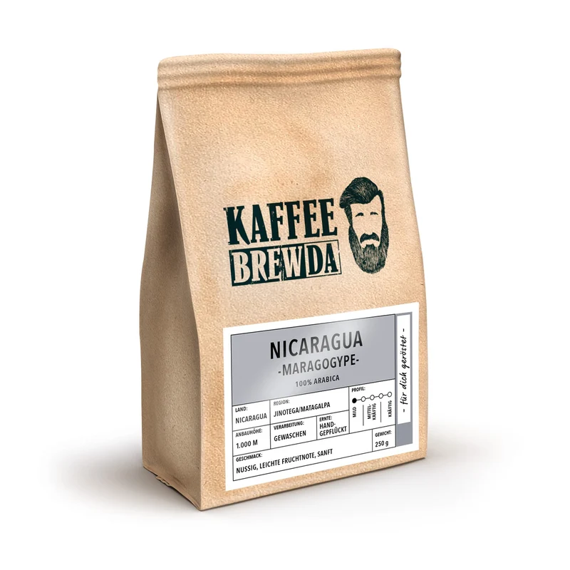 Nicaragua Maragogype