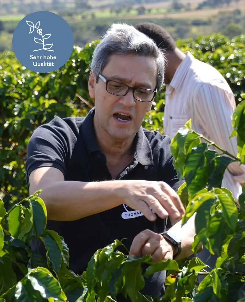 Espresso aus Brasilien (São Silvestre)