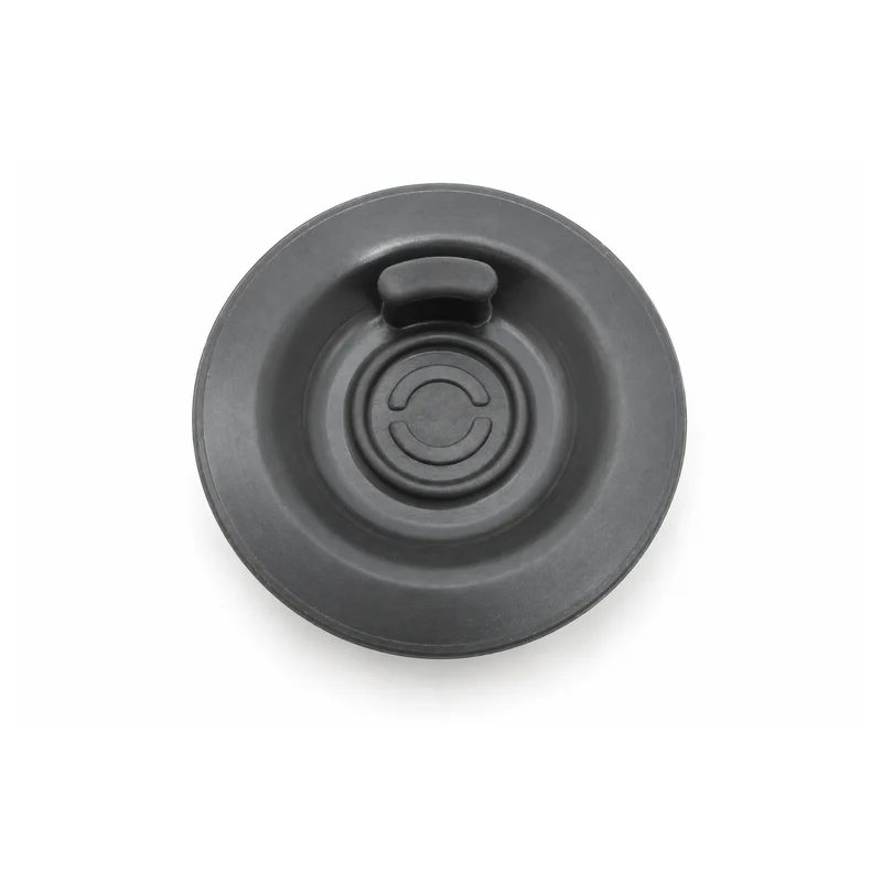 Sage Reinigungsscheibe 54 mm