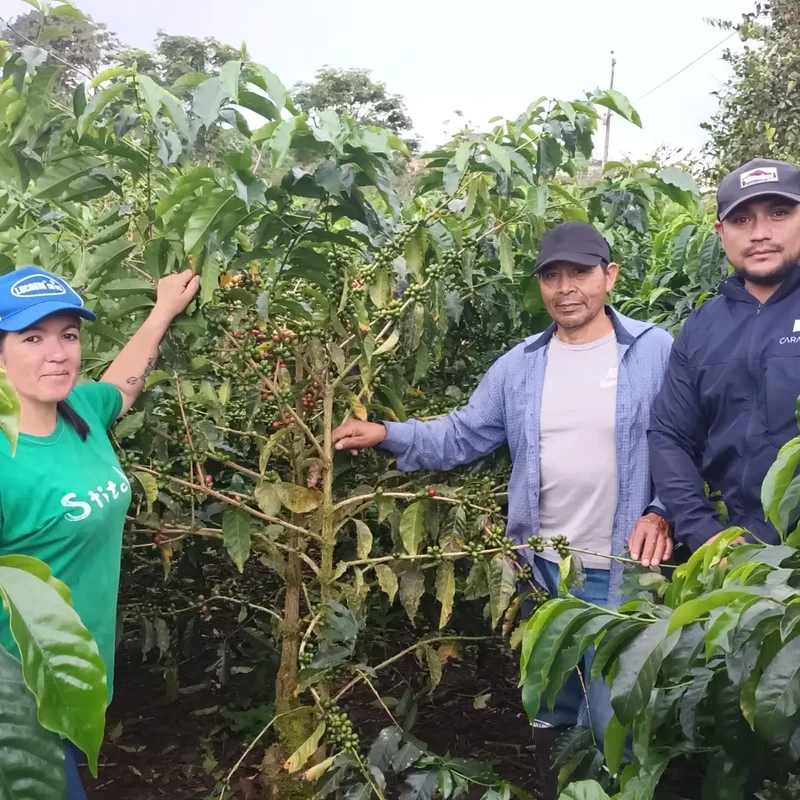 La Carolina, Filterkaffee aus Ecuador