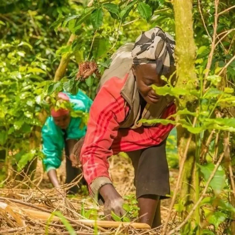 Furaha, Espresso aus Ruanda