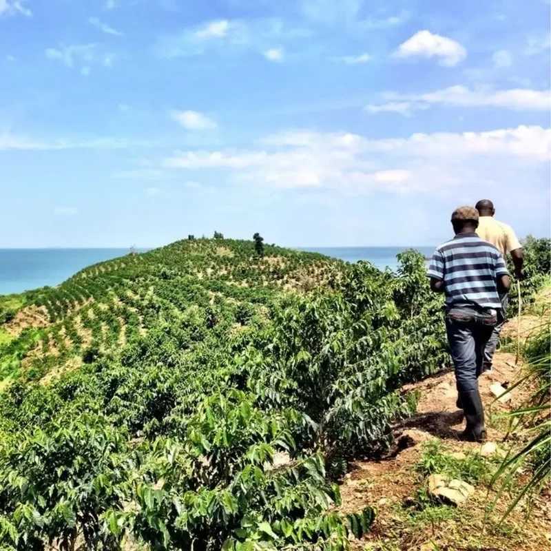 Furaha, Espresso aus Ruanda