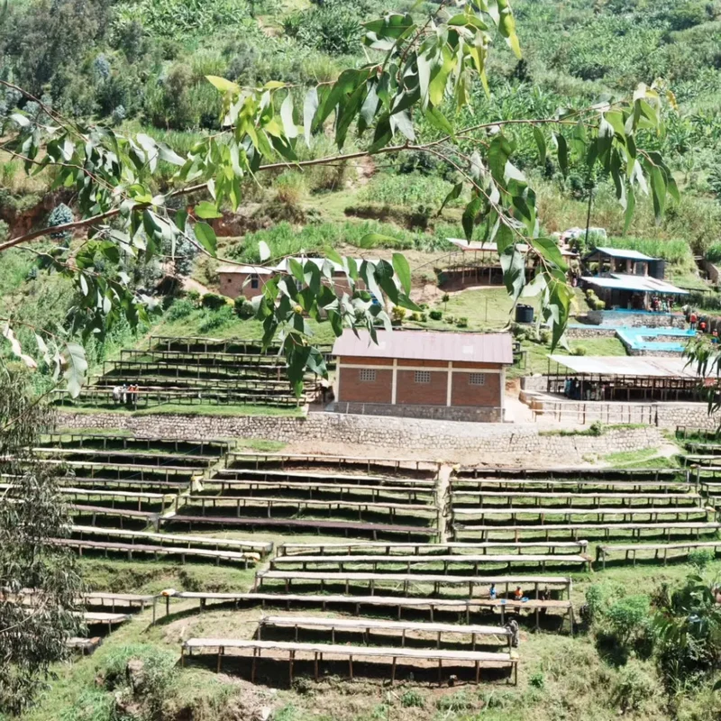 Shyira - Espresso aus Ruanda