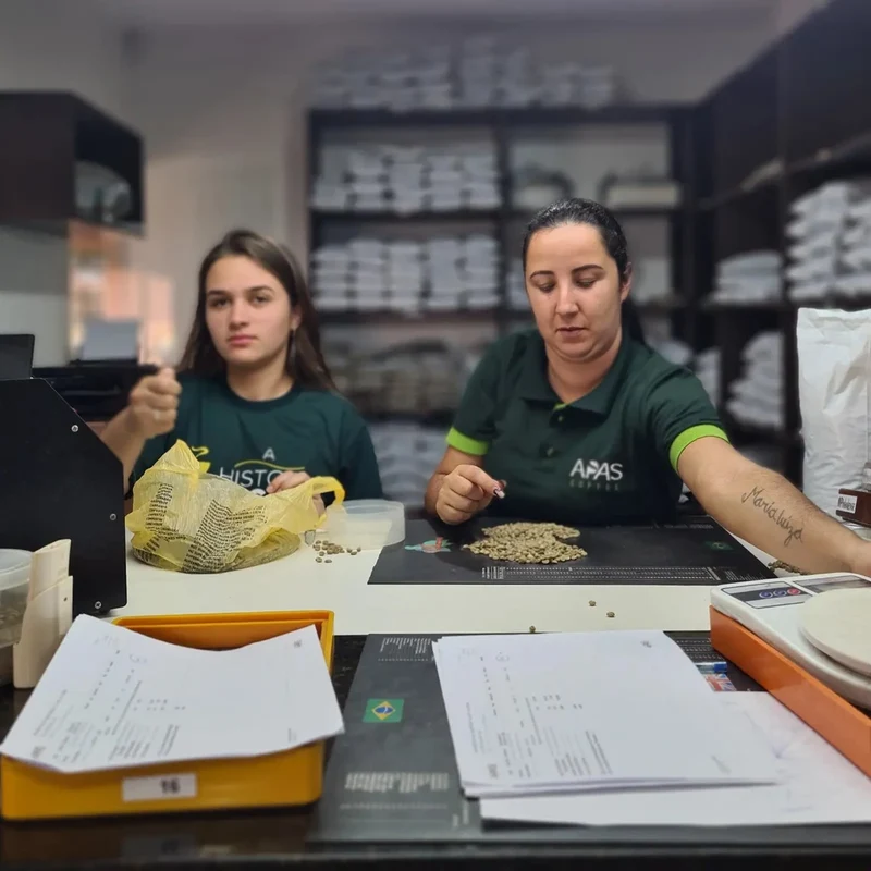 Apas, Bio Espresso aus Brasilien