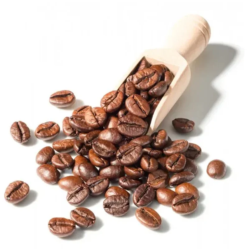 Cafés Richard | Coffee Moka Ethiopia Organic 500g GRS (Coffee Beans)