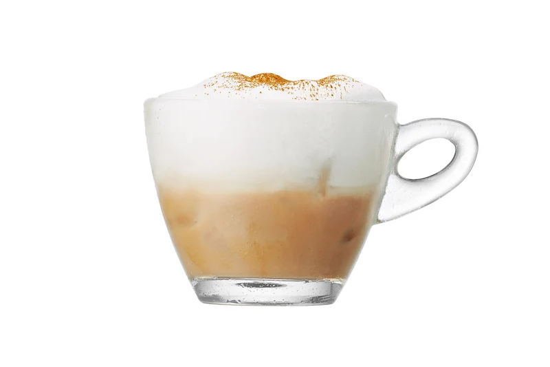 Jura - Automatic Milk Frothier (Hot & Cold )