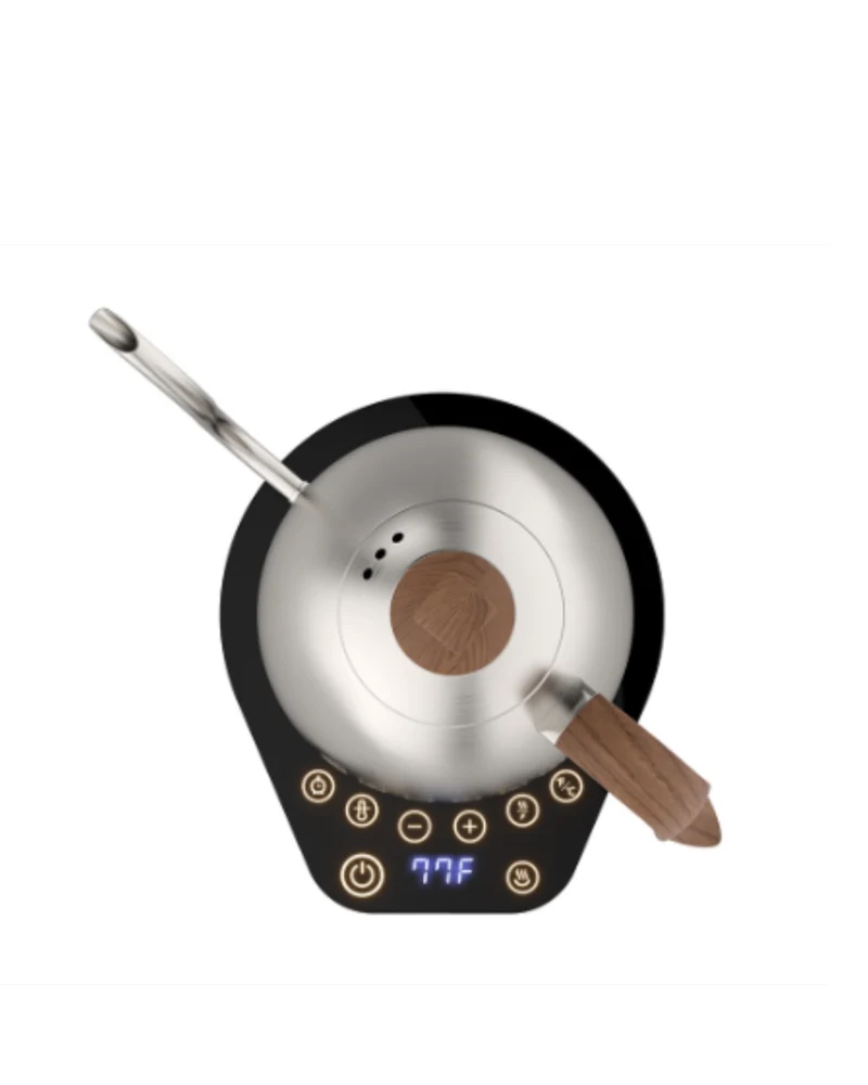 Brewista Artisan 1.0L Gooseneck Variable Kettle - Stainless Steel