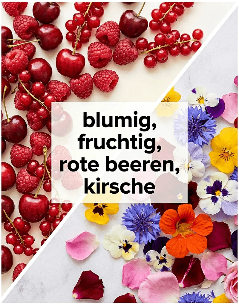 Hochlandblüte Bio Kaffee Äthiopien Sidamo, Washed