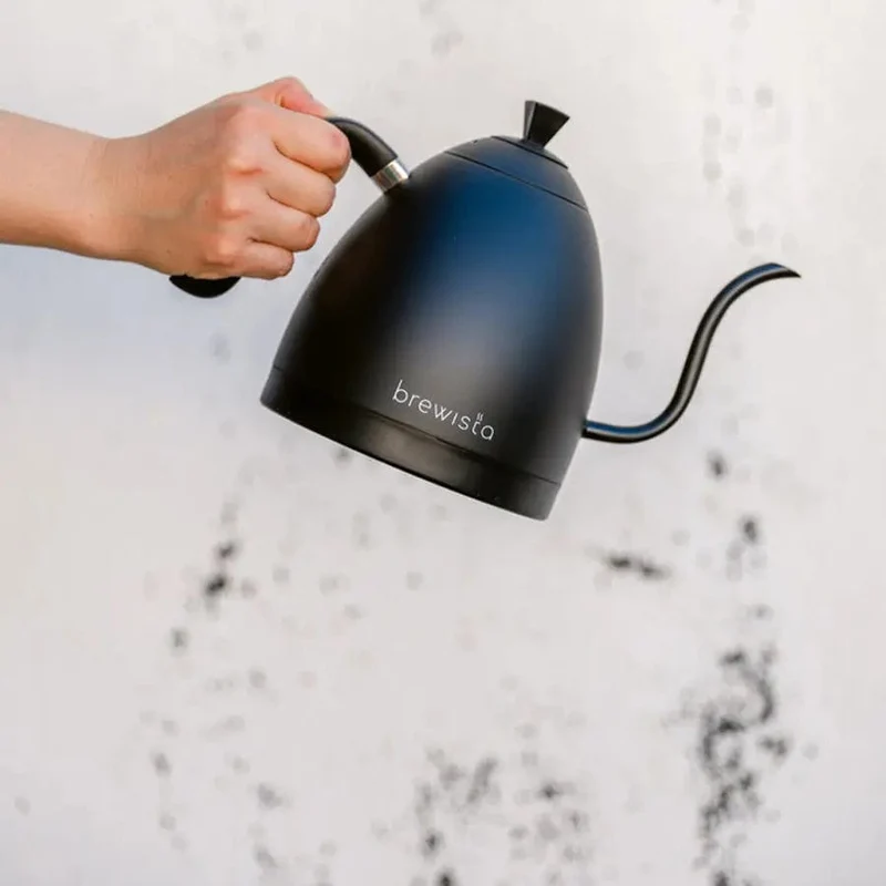 Brewista Artisan 1.0 L Gooseneck Variable Kettle - Black/Black - Wasserkocher