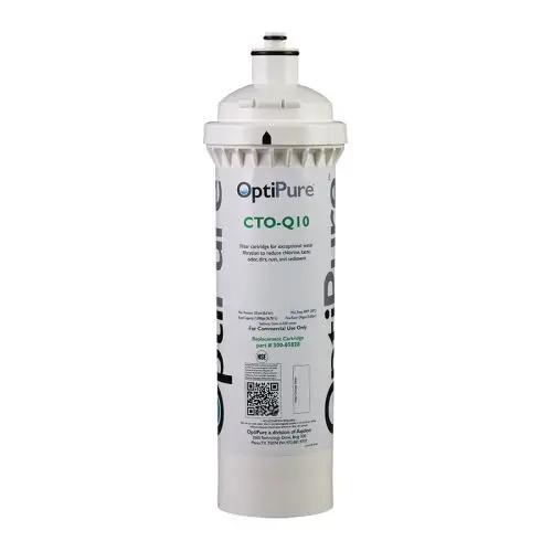 Pentair CTO-Q10 Filter Cartridge