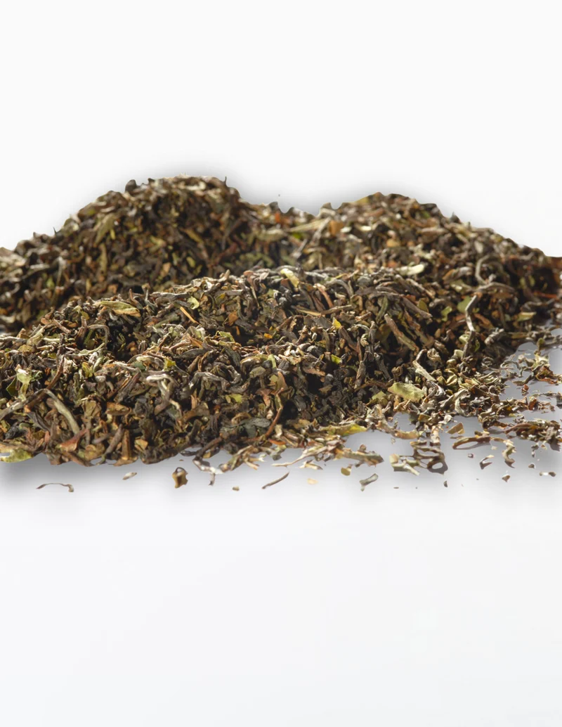 Schwarzer Tee Darjeeling TGFOP 2nd Flush „Margaret’s Hope“