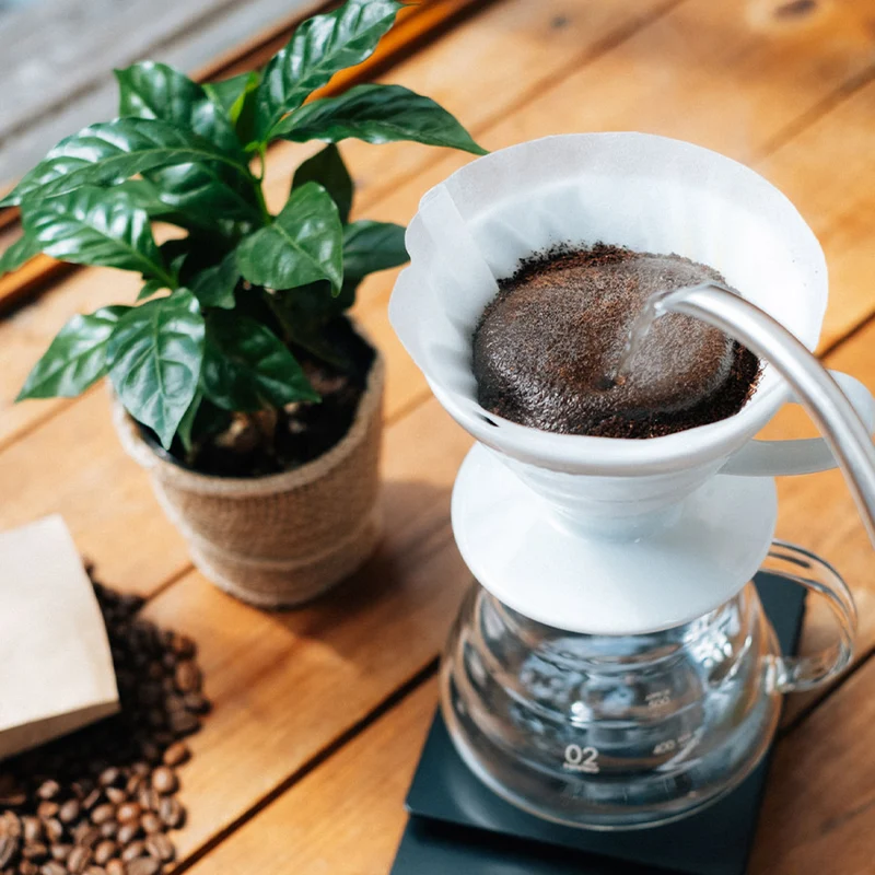 HARIO V60 Handfilter Porzellan, weiß