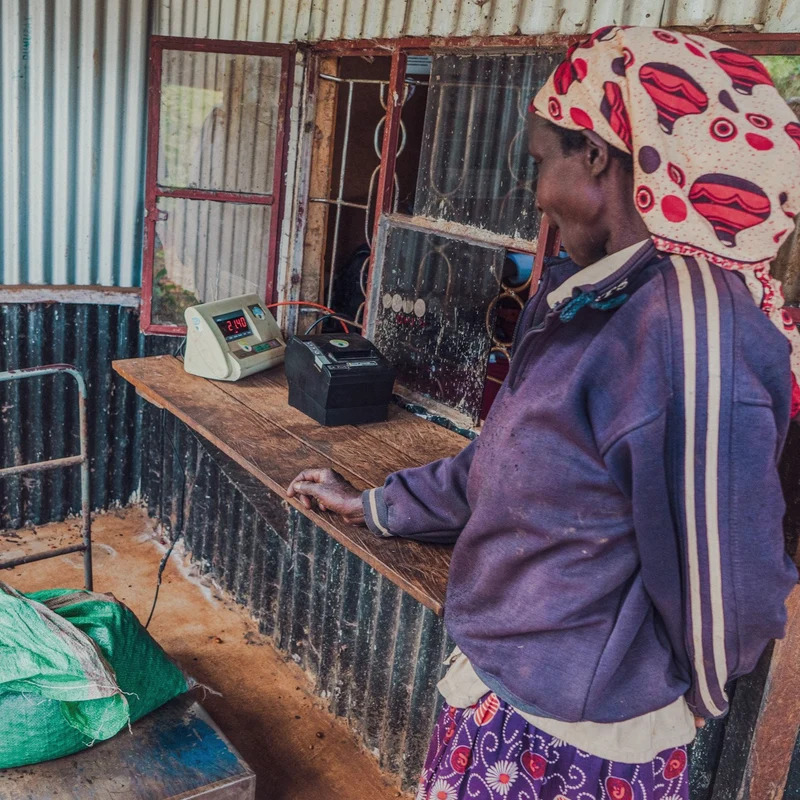 Kenia AA Women in Coffee