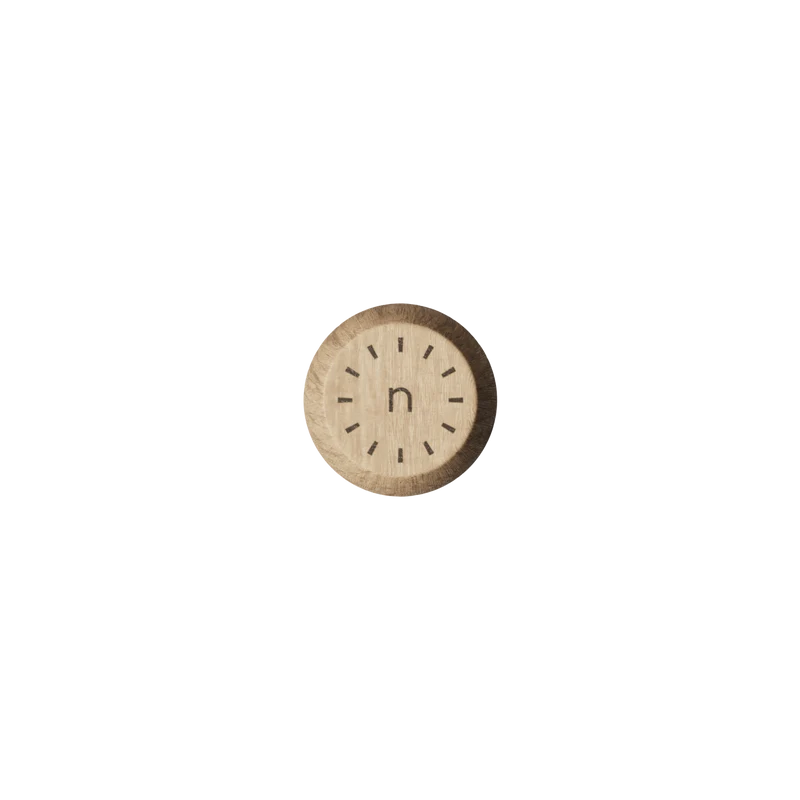 Reinigungspinsel