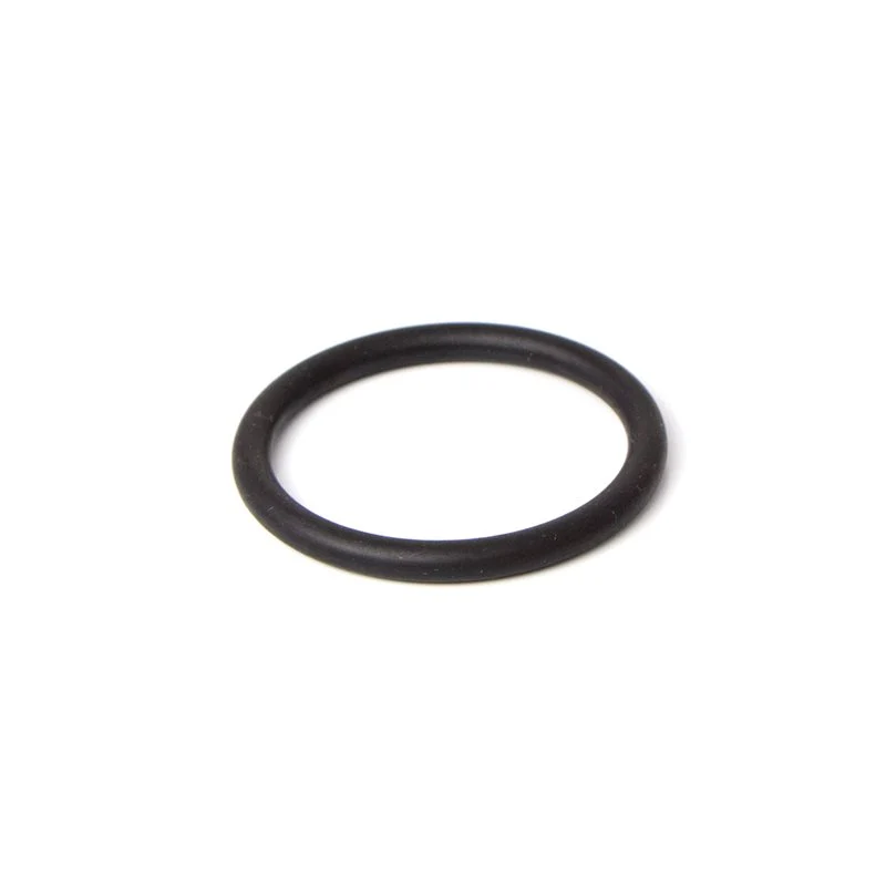 Pavoni Lever Filterholder Gasket (Old Group) - 465300
