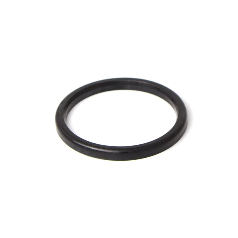 Pavoni Lever Filterholder Gasket (NG) ø 60mm - 361028