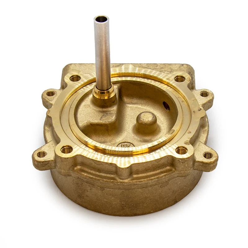 Gaggia Classic Evo Brass Grouphead - 421946510051