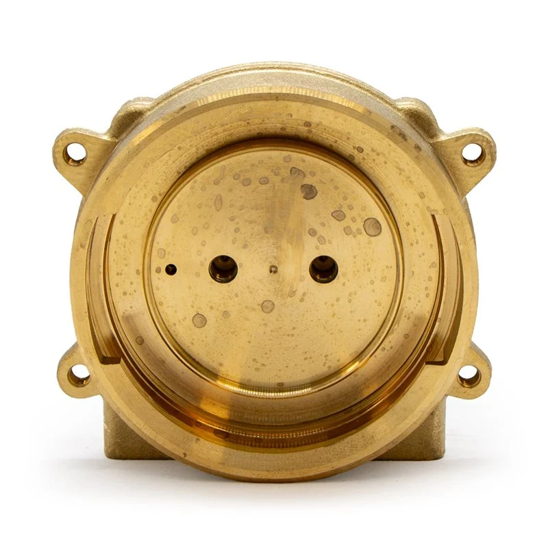 Gaggia Classic Evo Brass Grouphead - 421946510051