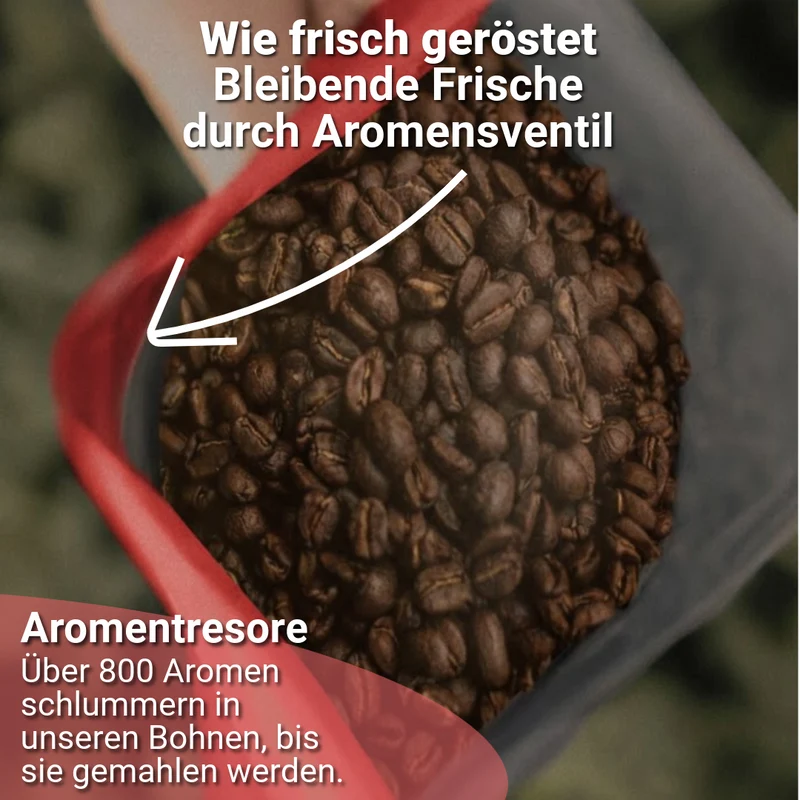LIEBE