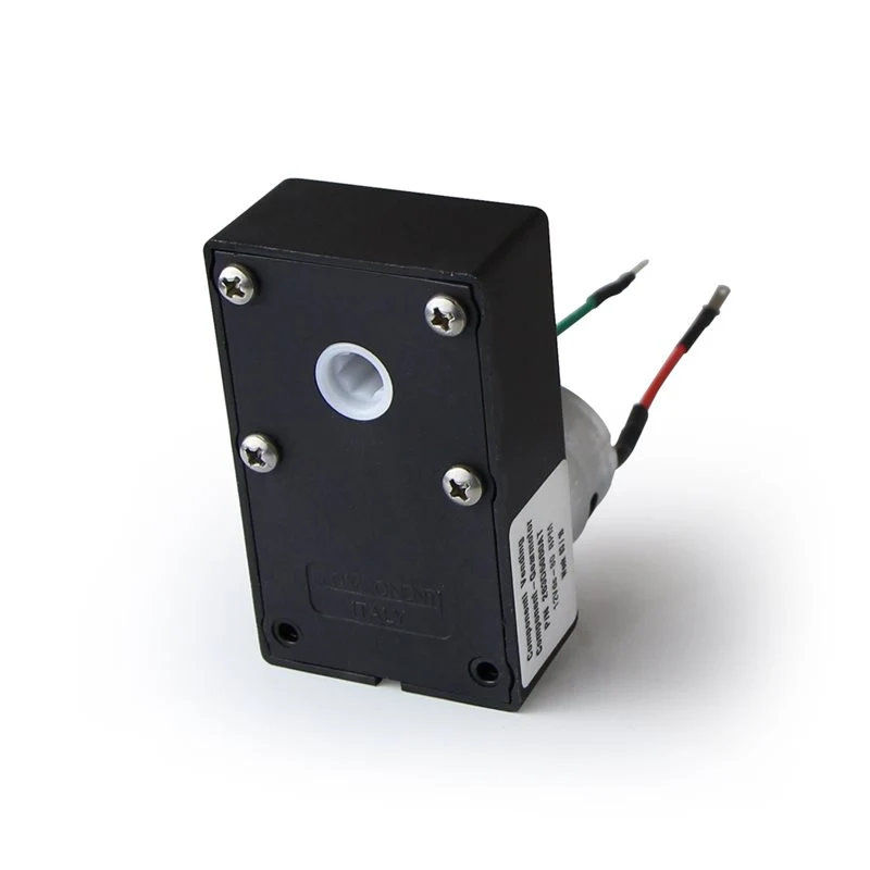 Matrix Auger Motor 12v DC 80rpm - O01-003
