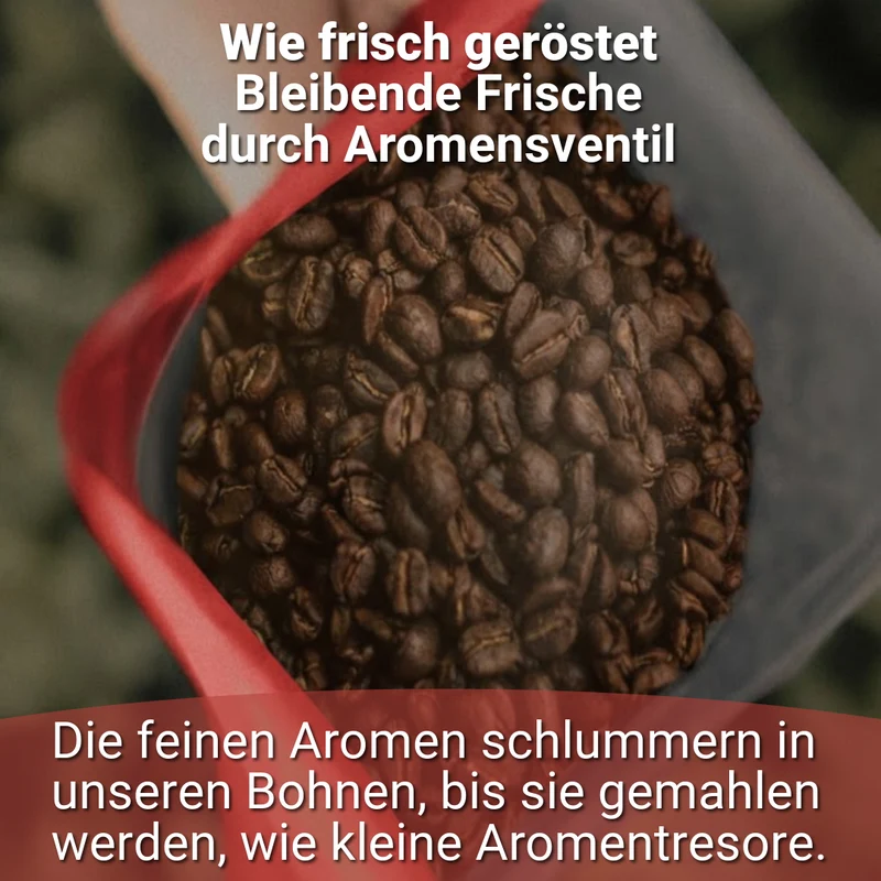 COOLE