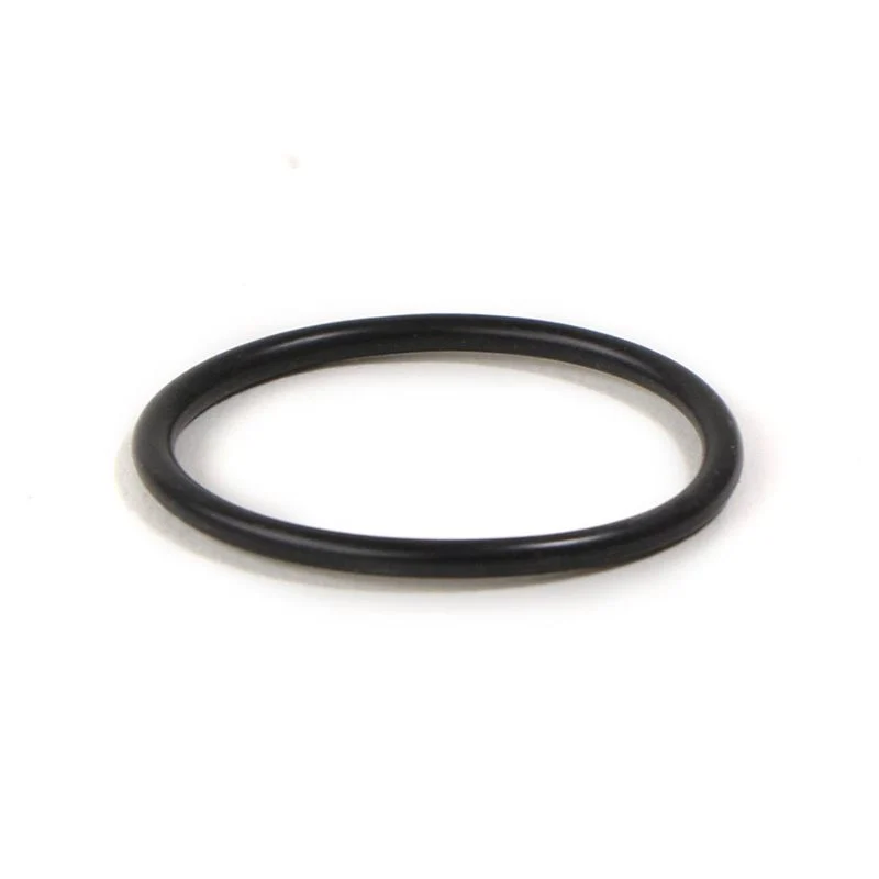 Astoria Plus4U Coffee Boiler Element Gasket - 12300040