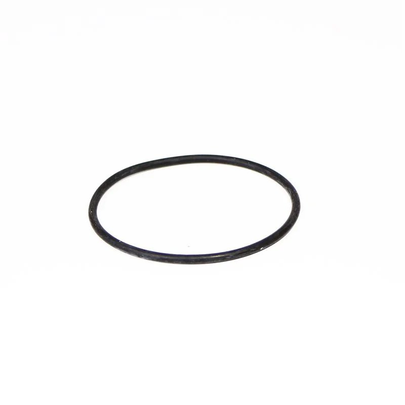 Pavoni Lever Heating Element Seal (Black Rubber) - 465225