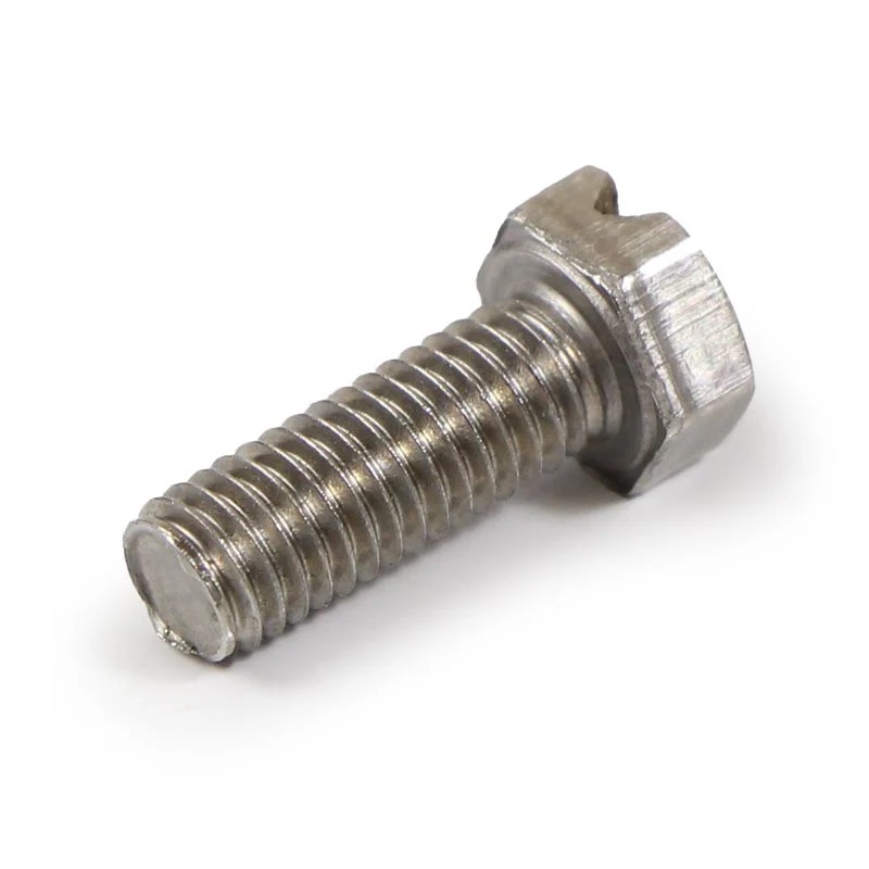 Rancilio Silvia Shower Plate Screw M5x14mm - 37030518