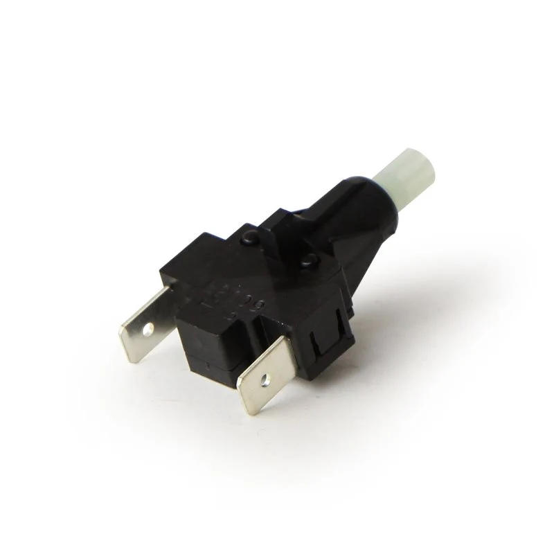 Gaggia Push Button Water Switch 16A 250V - 12000723