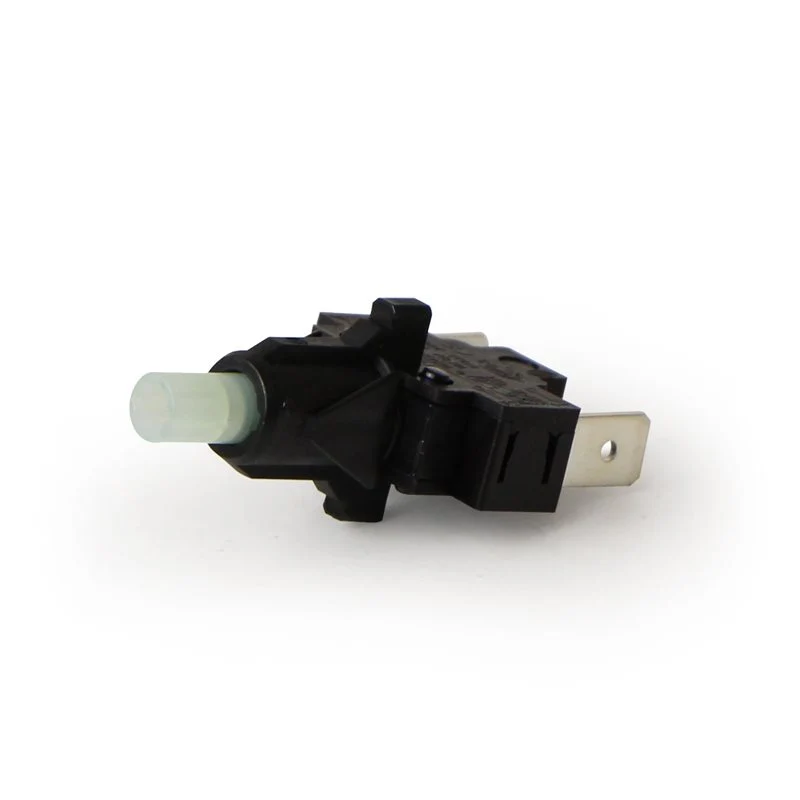 Gaggia Push Button Water Switch 16A 250V - 12000723