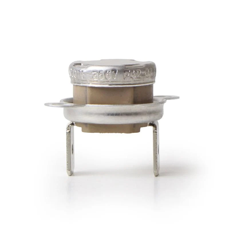 Fiorenzato MC Thermostat TY60/CA230 (OEM) - 600000012