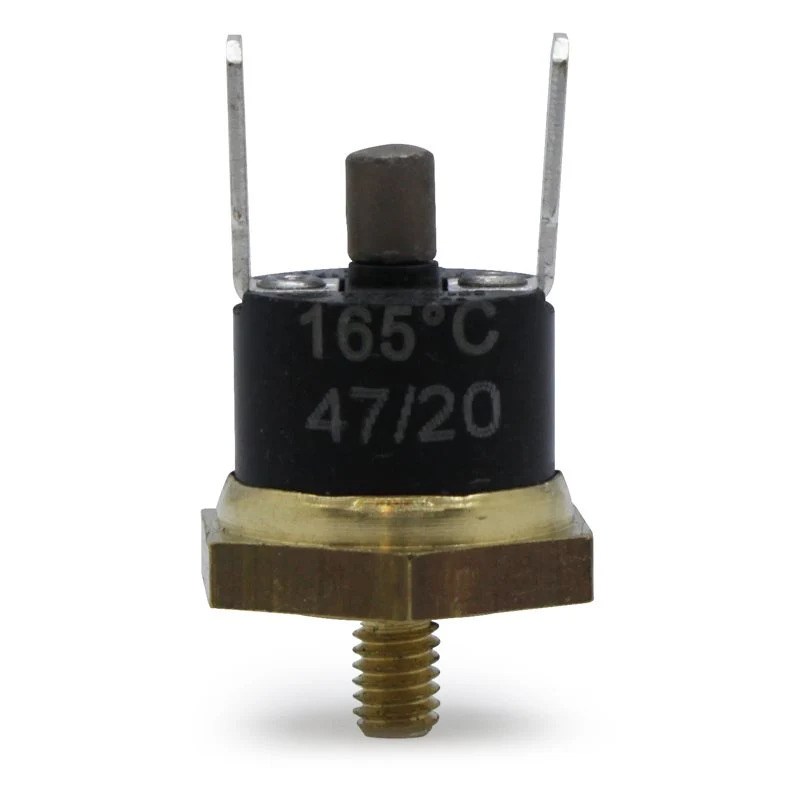 Elektra Mini Verticale Steam Thermostat 165°C - 00700035