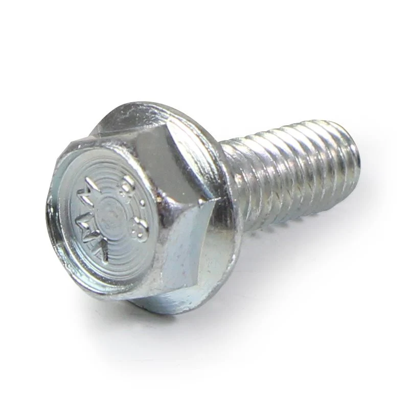 Gaggia Portafilter Handle Screw M6x16mm - 996530063942