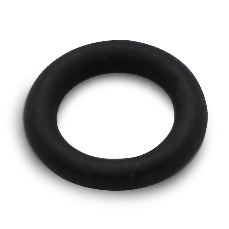 Elektra Mini Verticale Steam Wand O'ring - 02545035