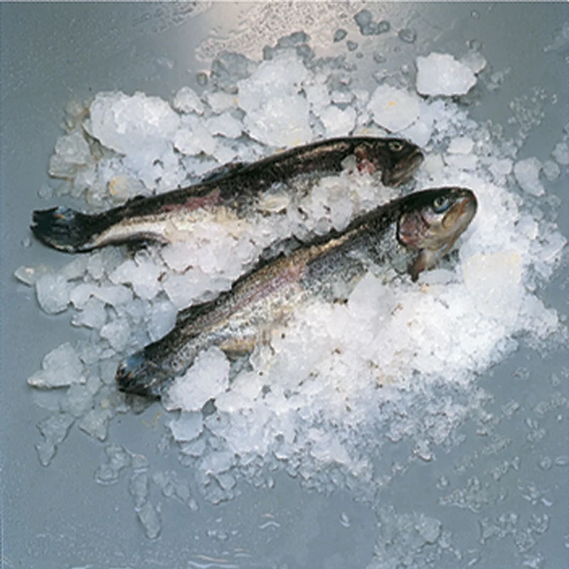 Scherbeneisbereiter , 400 kg/24h , Luftgekühlt , Maschinenkopf, ICE400ISA