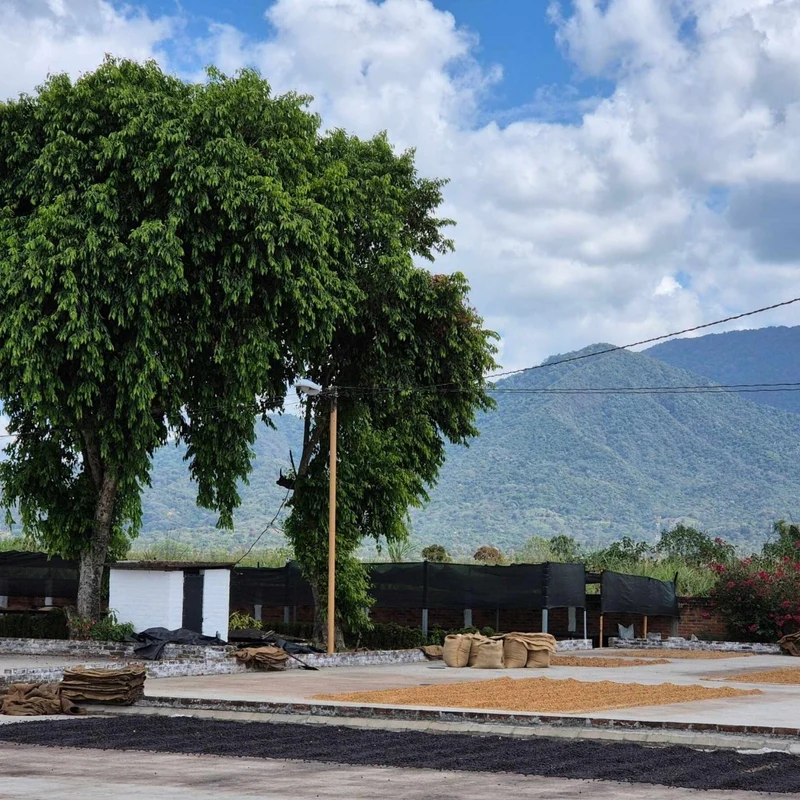 EL SALVADOR FINCA EL COROZO HONEY – ANNAS TIPP SEPTEMBER 2026